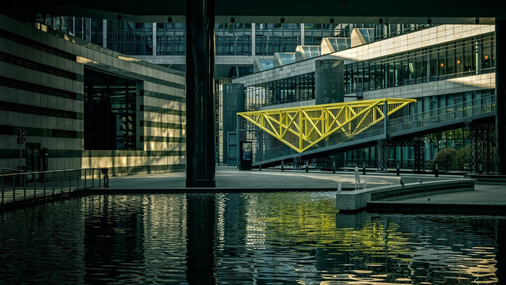 Odkrywanie Tajemnic Trawnika: Przyroda, Historia i Kultura